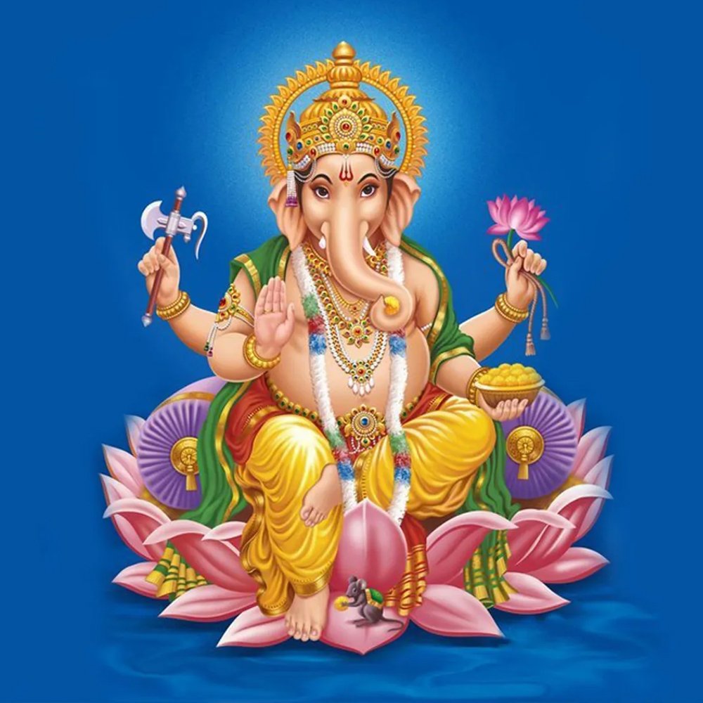 RBU Samridhi'র কার্যক্রম